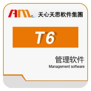 天思T6ERP系统