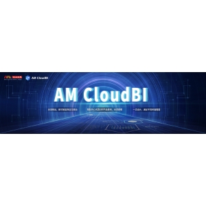 AMCloudBI  数据可视化呈现